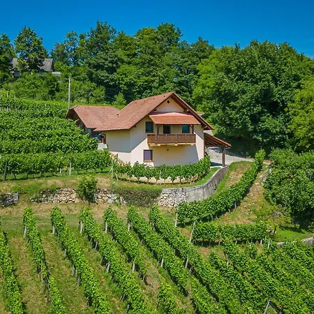 Casa vacanze Vineyard Ucman - Happy *