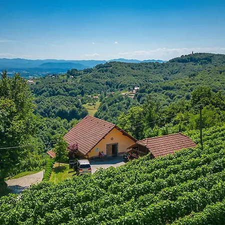 Holiday home Vineyard Ucman - Happy Otocec