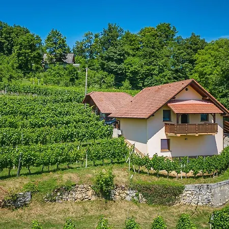 Vineyard Ucman - Happy Otočec