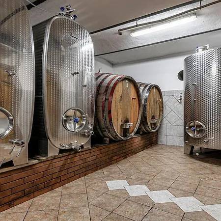 Vineyard Ucman - Happy Otočec