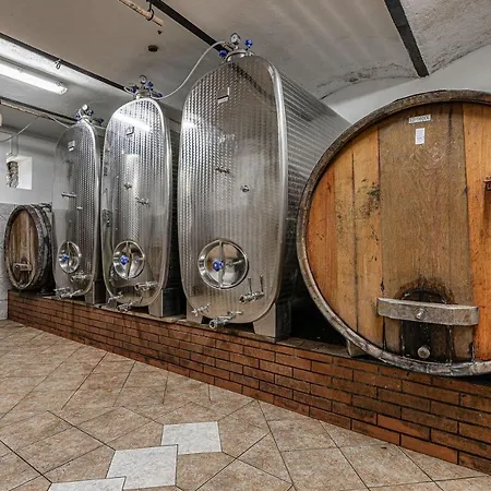 Vineyard Ucman - Happy * Otočec